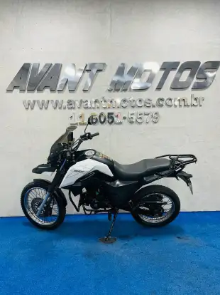 SHINERAY-SHI 175-2024