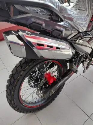 SHINERAY-SHI 250 SHINERAY-SHI 250-2026