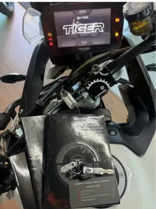 TRIUMPH-TIGER 900 RALLY-2021