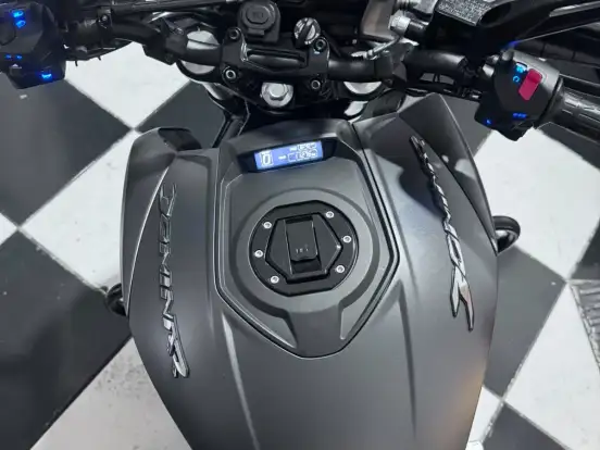BAJAJ-DOMINAR 400 BAJAJ-DOMINAR 400-2025