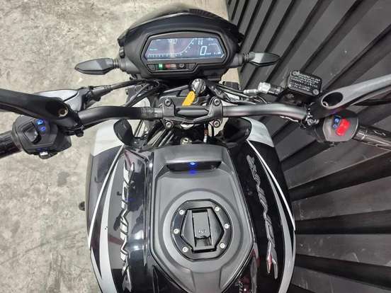 BAJAJ-DOMINAR 250 BAJAJ-DOMINAR 250-2024