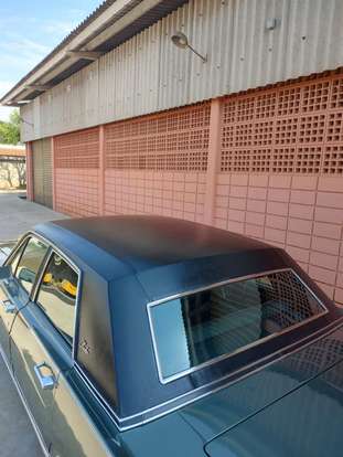 FORD-LANDAU-1981