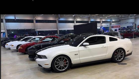 FORD MUSTANG 5.0 GT V8 GASOLINA 2P AUTOMÁTICO
