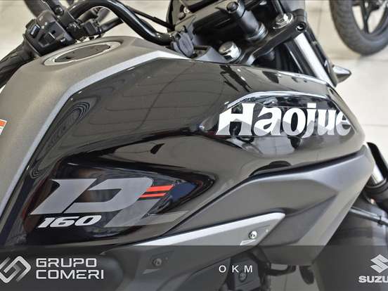 HAOJUE-DL 160 HAOJUE-DL 160-2026