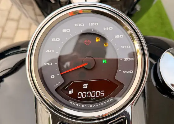 HARLEY-DAVIDSON SOFTAIL FAT BOY 117 HARLEY-DAVIDSON SOFTAIL FAT BOY 117