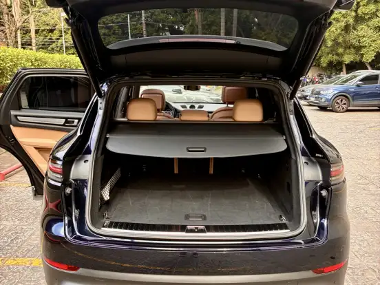 PORSCHE-CAYENNE-3.0 V6 E-HYBRID PLATINUM EDITION AWD TIPTRONIC S PORSCHE-CAYENNE-2022