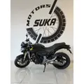 HONDA CB 600F HORNET HONDA CB 600F HORNET