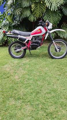 HONDA-XL 250R HONDA-XL 250R-1983