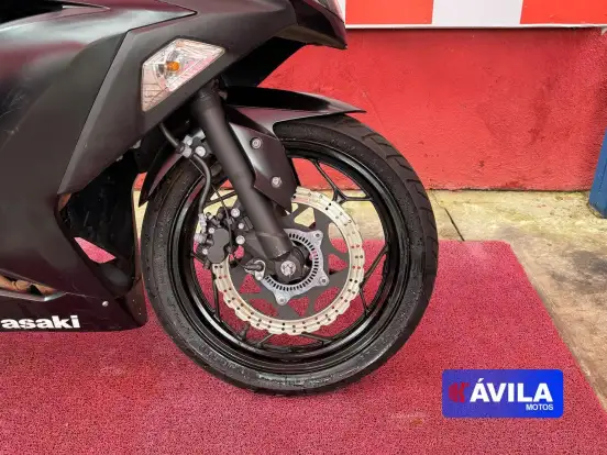 KAWASAKI-NINJA 300 KAWASAKI-NINJA 300-2018