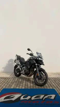 TRIUMPH-TIGER 1200 GT PRO-2024