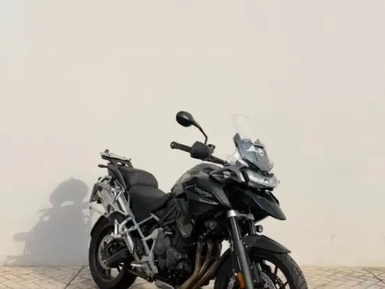TRIUMPH-TIGER 1200 GT PRO TRIUMPH-TIGER 1200 GT PRO-2024