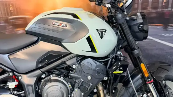 TRIUMPH-TRIDENT 660-2026