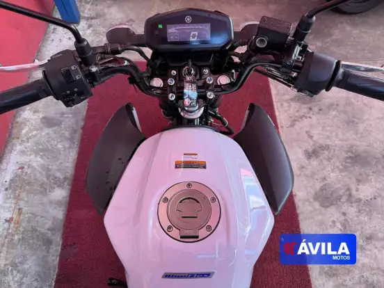 YAMAHA-FACTOR YBR 150 ED YAMAHA-FACTOR YBR 150 ED-2025