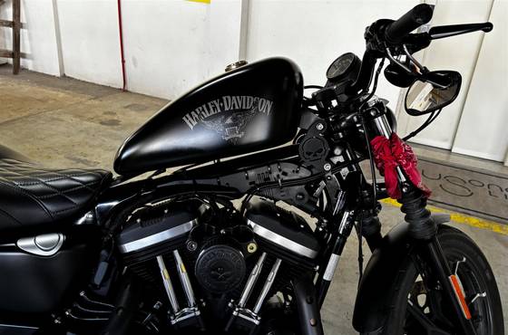 HARLEY-DAVIDSON SPORTSTER XL 883N IRON 