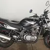 SUZUKI GS500E SUZUKI GS500E