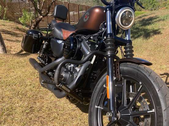 HARLEY-DAVIDSON-SPORTSTER IRON 883 HARLEY-DAVIDSON-SPORTSTER IRON 883-2018