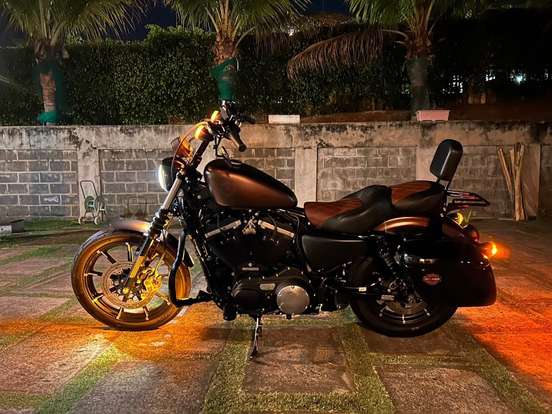 HARLEY-DAVIDSON-SPORTSTER IRON 883 HARLEY-DAVIDSON-SPORTSTER IRON 883-2018