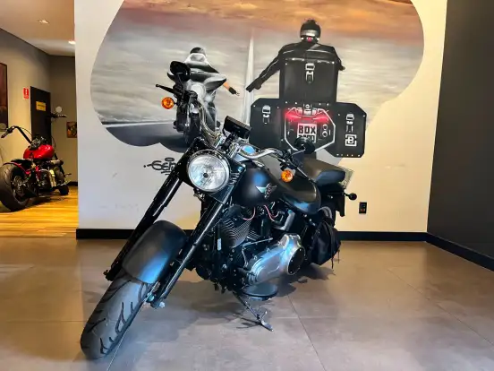 HARLEY-DAVIDSON-SOFTAIL FAT BOY SPECIAL HARLEY-DAVIDSON-SOFTAIL FAT BOY SPECIAL-2012