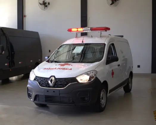 RENAULT KANGOO 1.6 16V SCE FLEX ADVANCED MANUAL RENAULT KANGOO 1.6 16V SCE FLEX ADVANCED MANUAL
