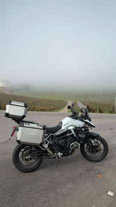 TRIUMPH-TIGER 900 GT-2024