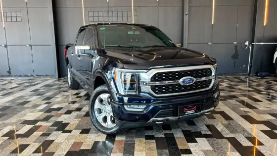 FORD F-150 5.0 V8 GASOLINA CD PLATINUM FX4 AUTOMÁTICO FORD F-150 5.0 V8 GASOLINA CD PLATINUM FX4 AUTOMÁTICO