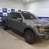 FORD F-150 5.0 V8 GASOLINA CD TREMOR FX4 AUTOMÁTICO FORD F-150 5.0 V8 GASOLINA CD TREMOR FX4 AUTOMÁTICO