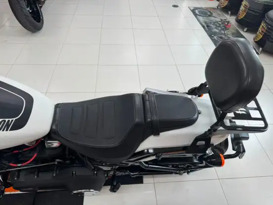HARLEY-DAVIDSON-SOFTAIL FAT BOB 107 HARLEY-DAVIDSON-SOFTAIL FAT BOB 107-2019
