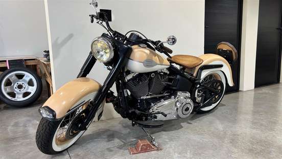 HARLEY-DAVIDSON-SOFTAIL DELUXE-2011