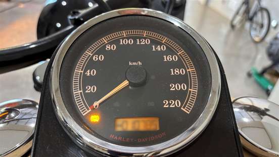 HARLEY-DAVIDSON-SOFTAIL DELUXE-2011
