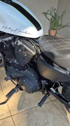 HARLEY-DAVIDSON-SPORTSTER XL 883 R-2008