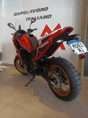 MOTO MORINI-X-CAPE GOLD EDITION-2025