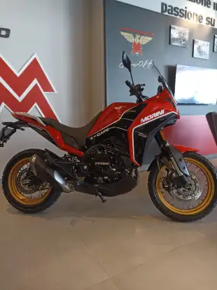 MOTO MORINI-X-CAPE GOLD EDITION-2025