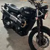 TRIUMPH STREET SCRAMBLER TRIUMPH STREET SCRAMBLER