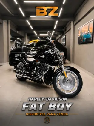 HARLEY-DAVIDSON SOFTAIL FAT BOY 114 