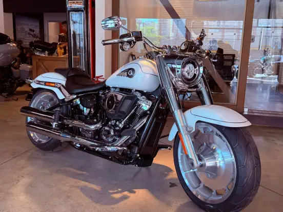 HARLEY-DAVIDSON-SOFTAIL FAT BOY 117-2026