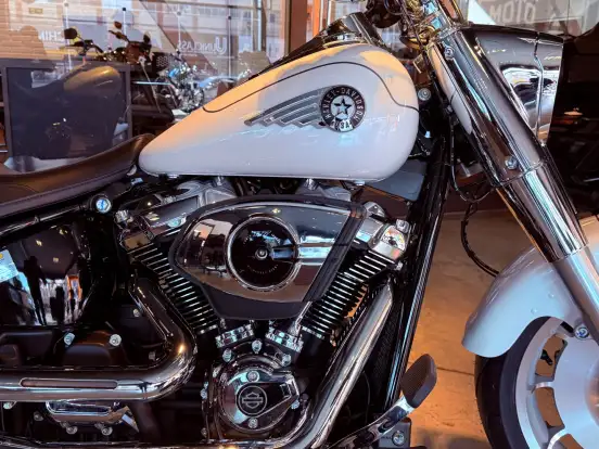 HARLEY-DAVIDSON-SOFTAIL FAT BOY 117 HARLEY-DAVIDSON-SOFTAIL FAT BOY 117-2026