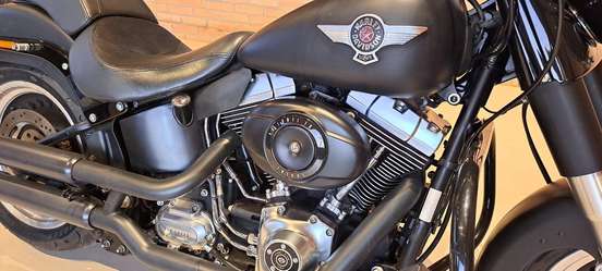 HARLEY-DAVIDSON-FAT BOY 110th SPECIAL ANNIVERSARY EDITION HARLEY-DAVIDSON-FAT BOY 110th SPECIAL ANNIVERSARY EDITION-2012