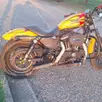 HARLEY-DAVIDSON SPORTSTER IRON 883 HARLEY-DAVIDSON SPORTSTER IRON 883