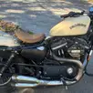 HARLEY-DAVIDSON SPORTSTER XL 883N IRON HARLEY-DAVIDSON SPORTSTER XL 883N IRON