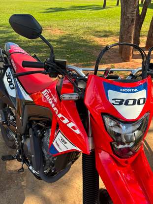 HONDA-XR 300L TORNADO SPECIAL EDITION-2026