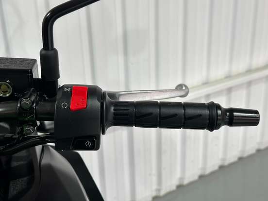 KAWASAKI-VERSYS-X 300-2025