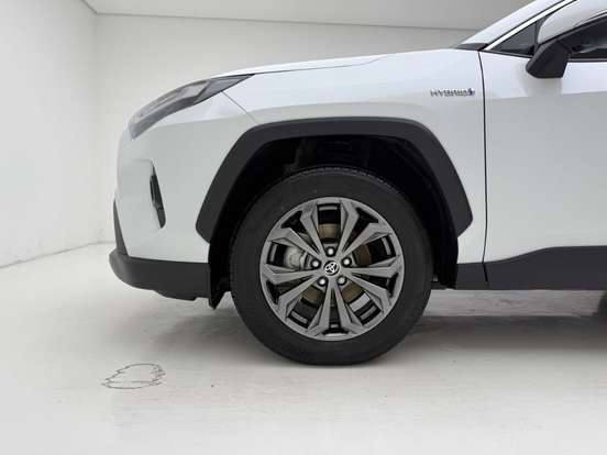 TOYOTA-RAV4-2024