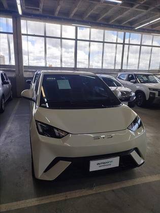 BYD DOLPHIN MINI 38 KW ELÉTRICO