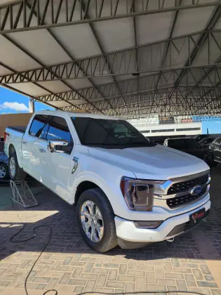 FORD F-150 5.0 V8 GASOLINA CD PLATINUM FX4 AUTOMÁTICO