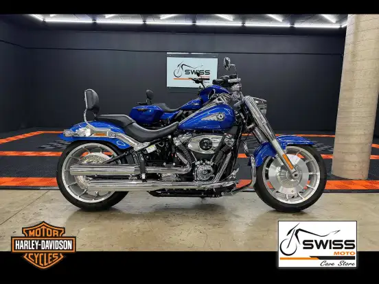 HARLEY-DAVIDSON-SOFTAIL FAT BOY 117-2025