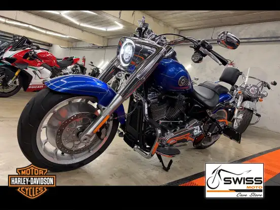 HARLEY-DAVIDSON-SOFTAIL FAT BOY 117 HARLEY-DAVIDSON-SOFTAIL FAT BOY 117-2025