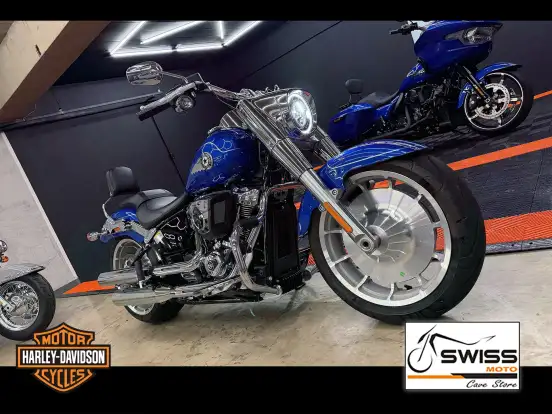 HARLEY-DAVIDSON-SOFTAIL FAT BOY 117 HARLEY-DAVIDSON-SOFTAIL FAT BOY 117-2025