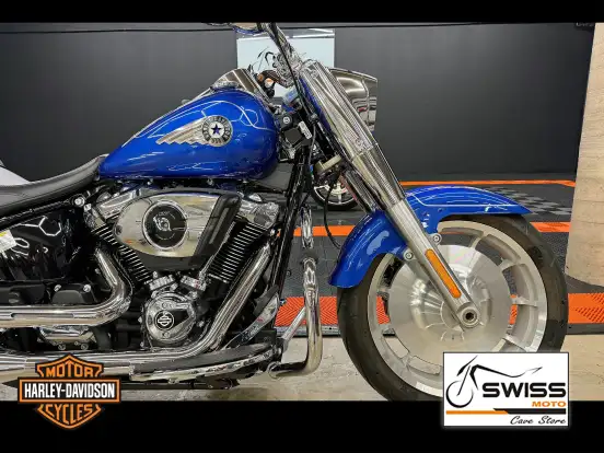 HARLEY-DAVIDSON-SOFTAIL FAT BOY 117-2025