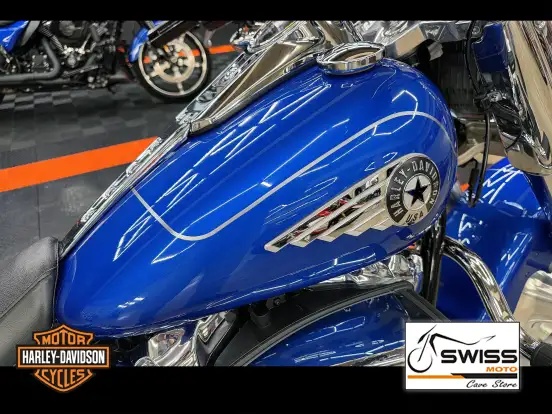 HARLEY-DAVIDSON-SOFTAIL FAT BOY 117-2025