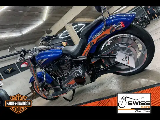 HARLEY-DAVIDSON-SOFTAIL FAT BOY 117 HARLEY-DAVIDSON-SOFTAIL FAT BOY 117-2025